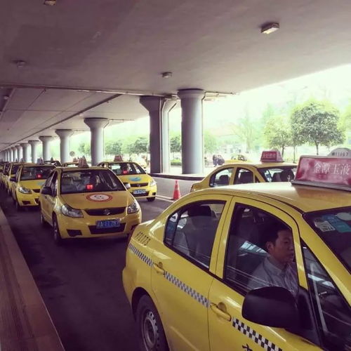 重庆出租车行业警示 拒载行为将面临严厉处罚